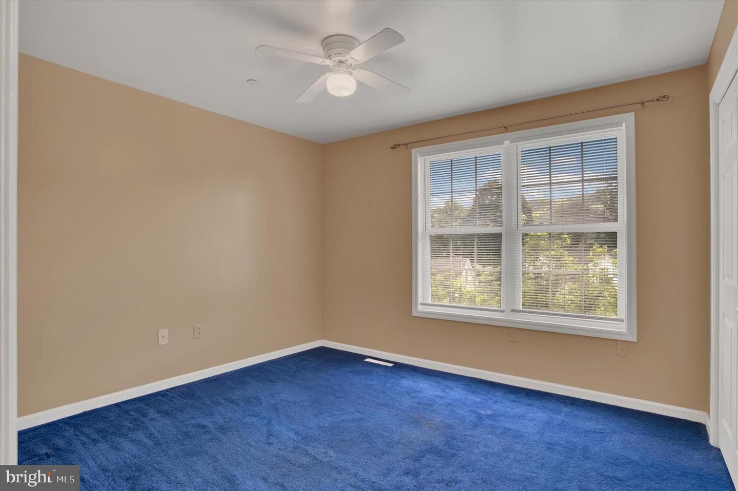 1203 Lincoln Street photo 17