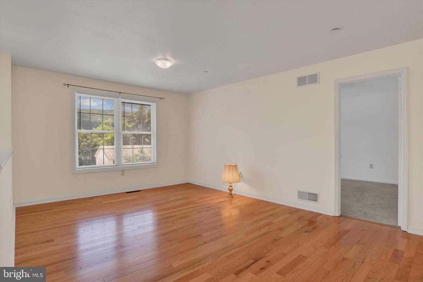 1203 Lincoln Street photo 5