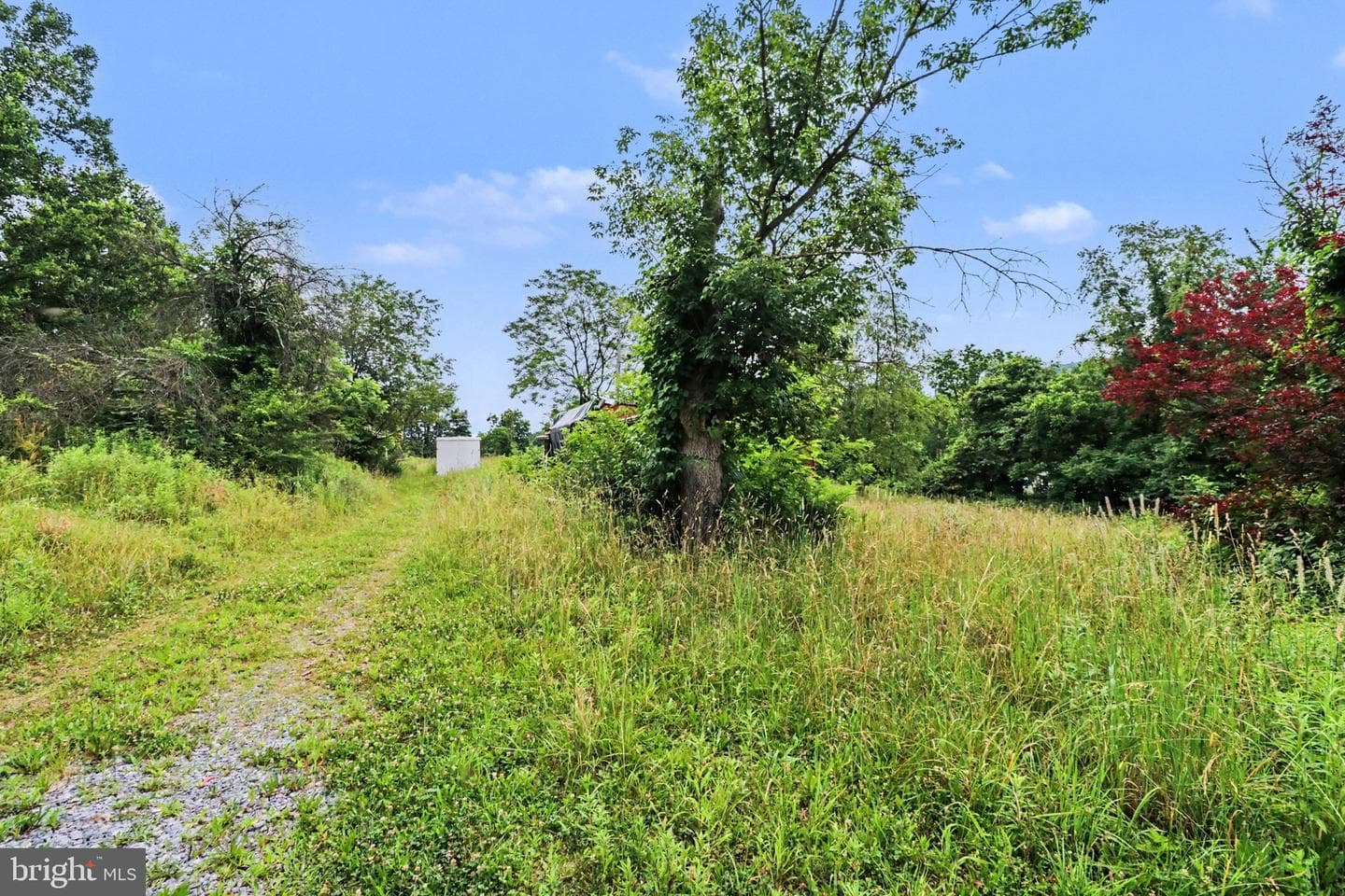 105 Hunters Church Rd photo 9