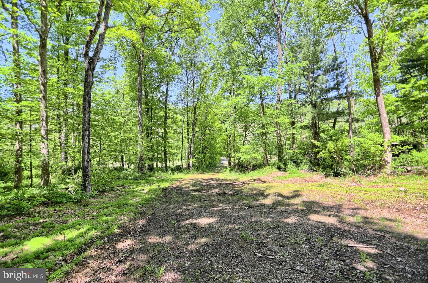 4909 Raccoon Valley Rd photo 53