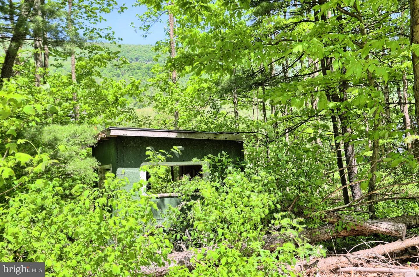 4909 Raccoon Valley Rd photo 54