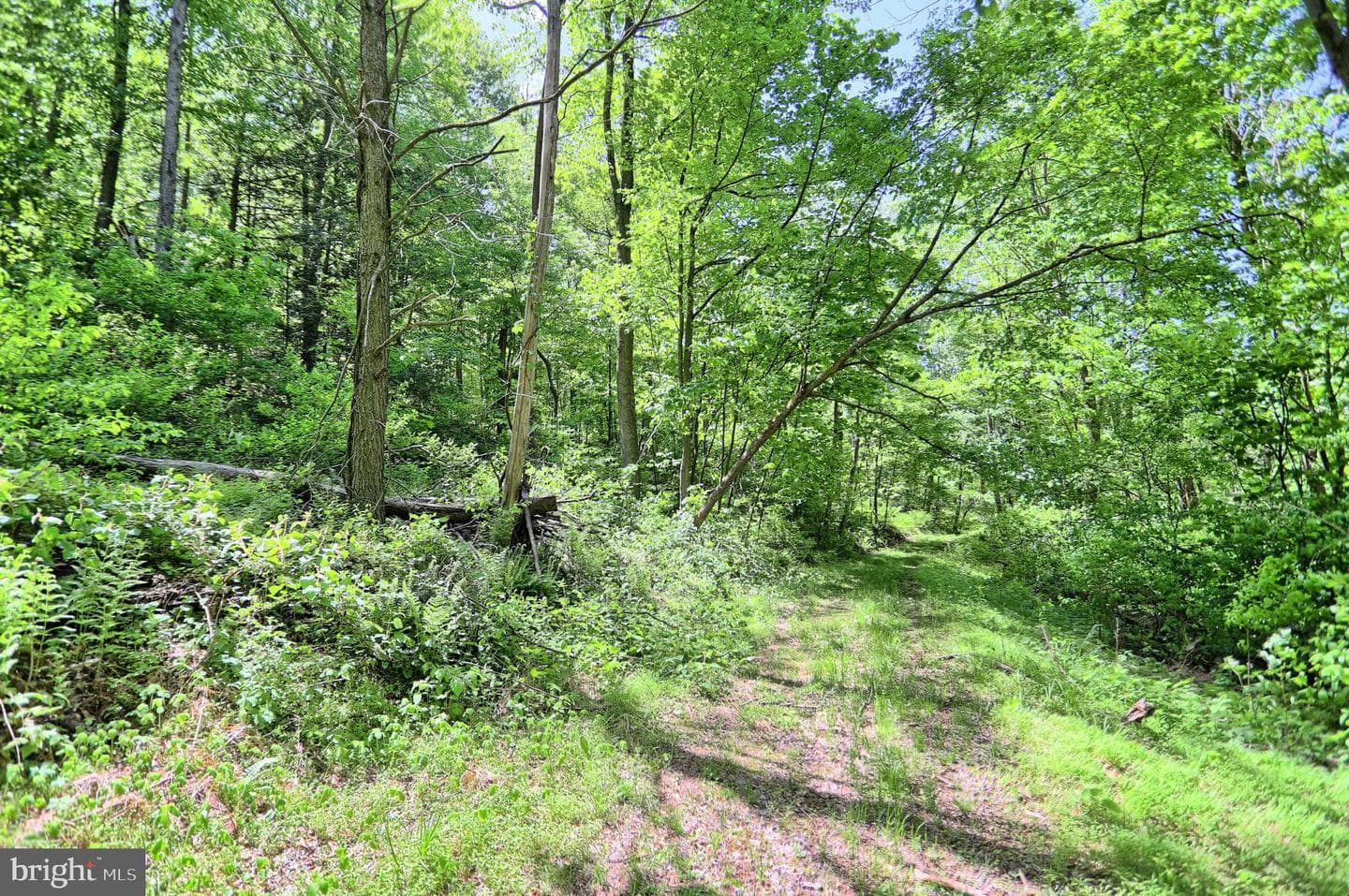 4909 Raccoon Valley Rd photo 57