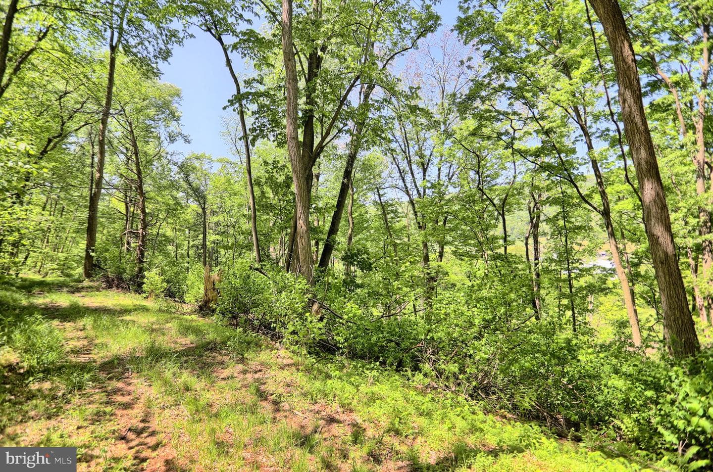 4909 Raccoon Valley Rd photo 58