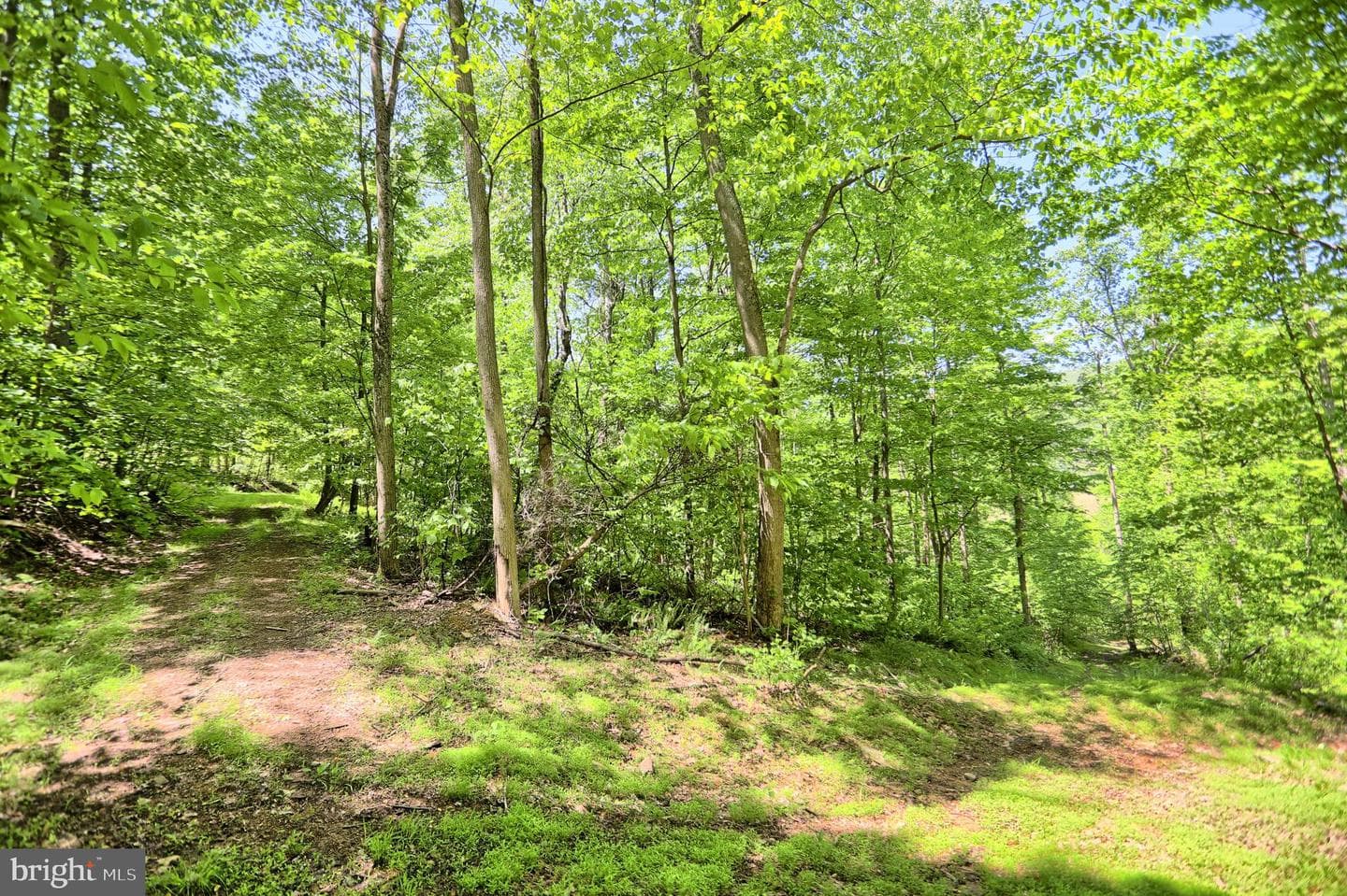 4909 Raccoon Valley Rd photo 62