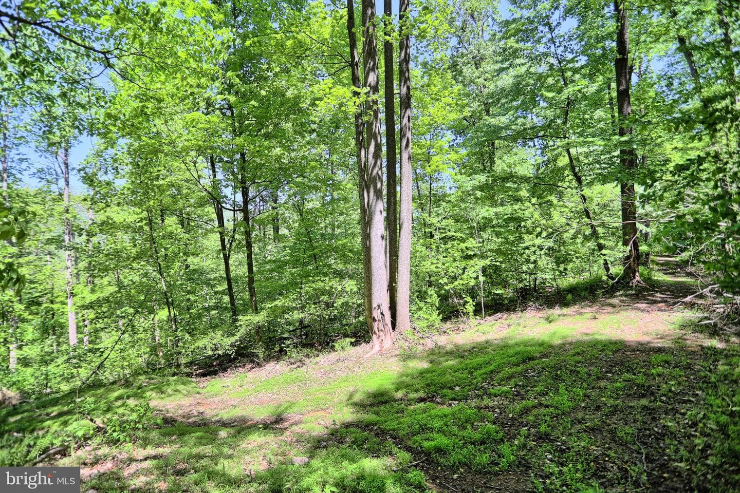 4909 Raccoon Valley Rd photo 63