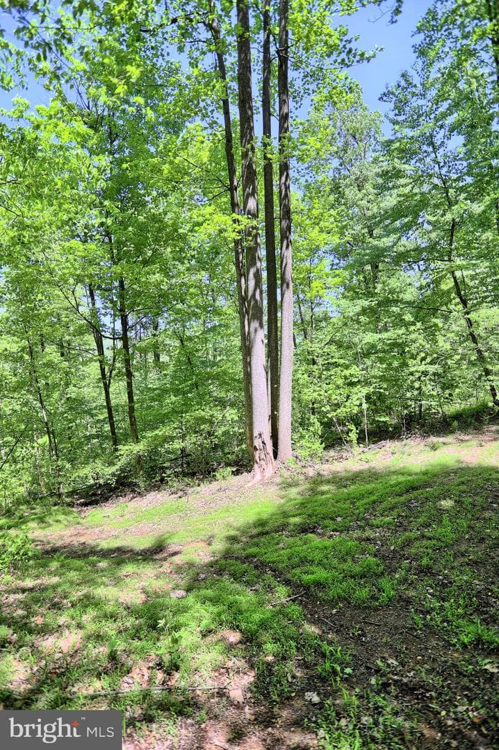 4909 Raccoon Valley Rd photo 64