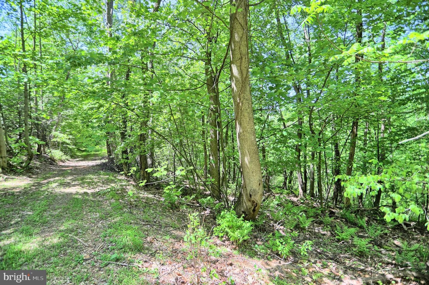 4909 Raccoon Valley Rd photo 67