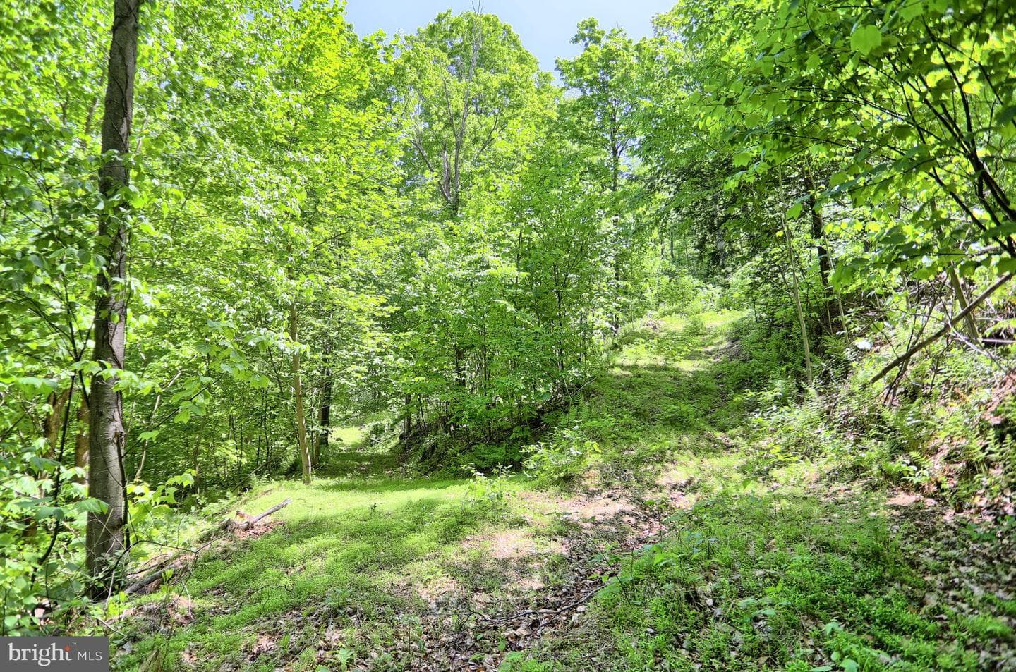 4909 Raccoon Valley Rd photo 69