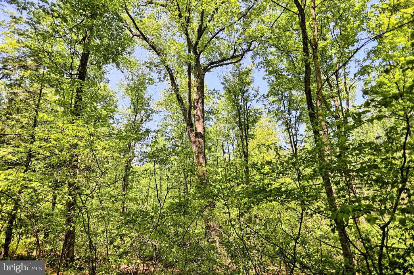 4909 Raccoon Valley Rd photo 71