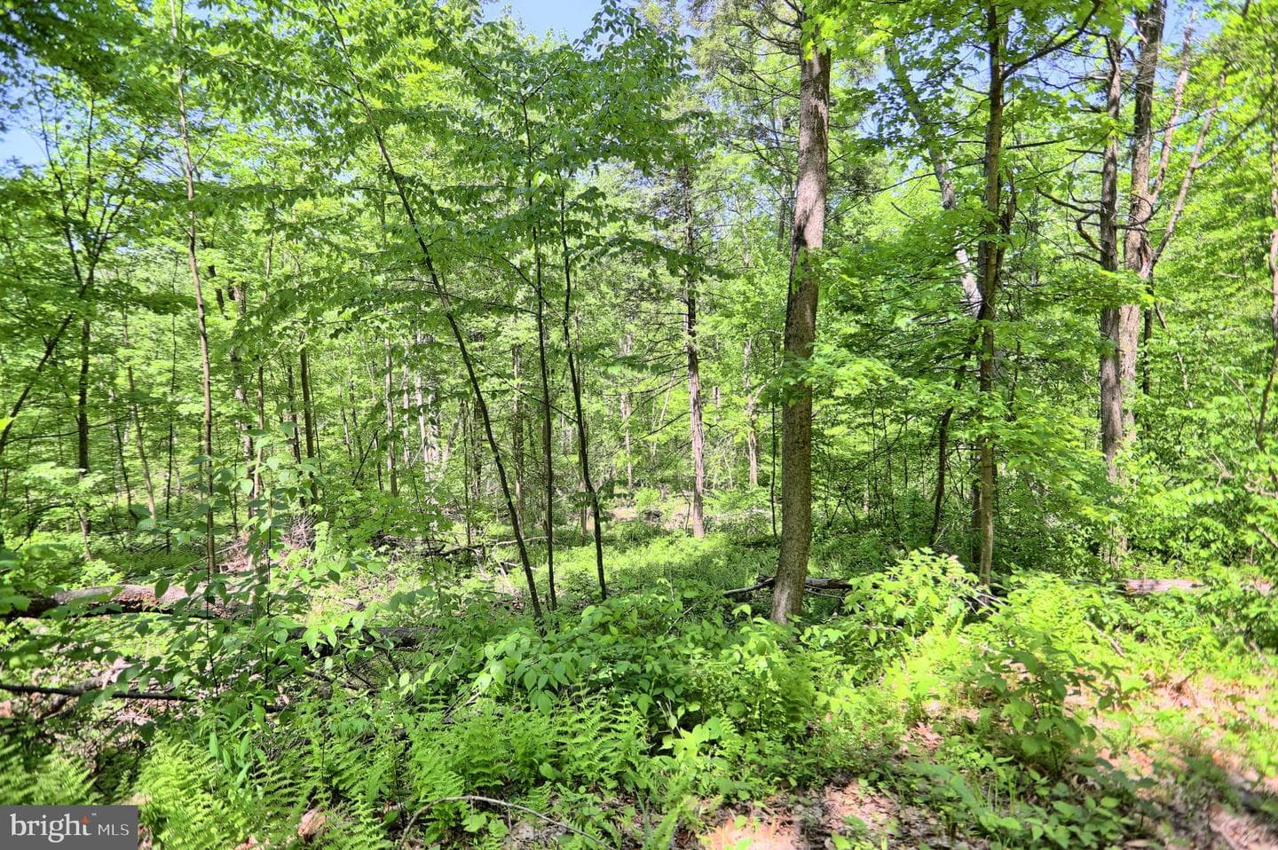 4909 Raccoon Valley Rd photo 73