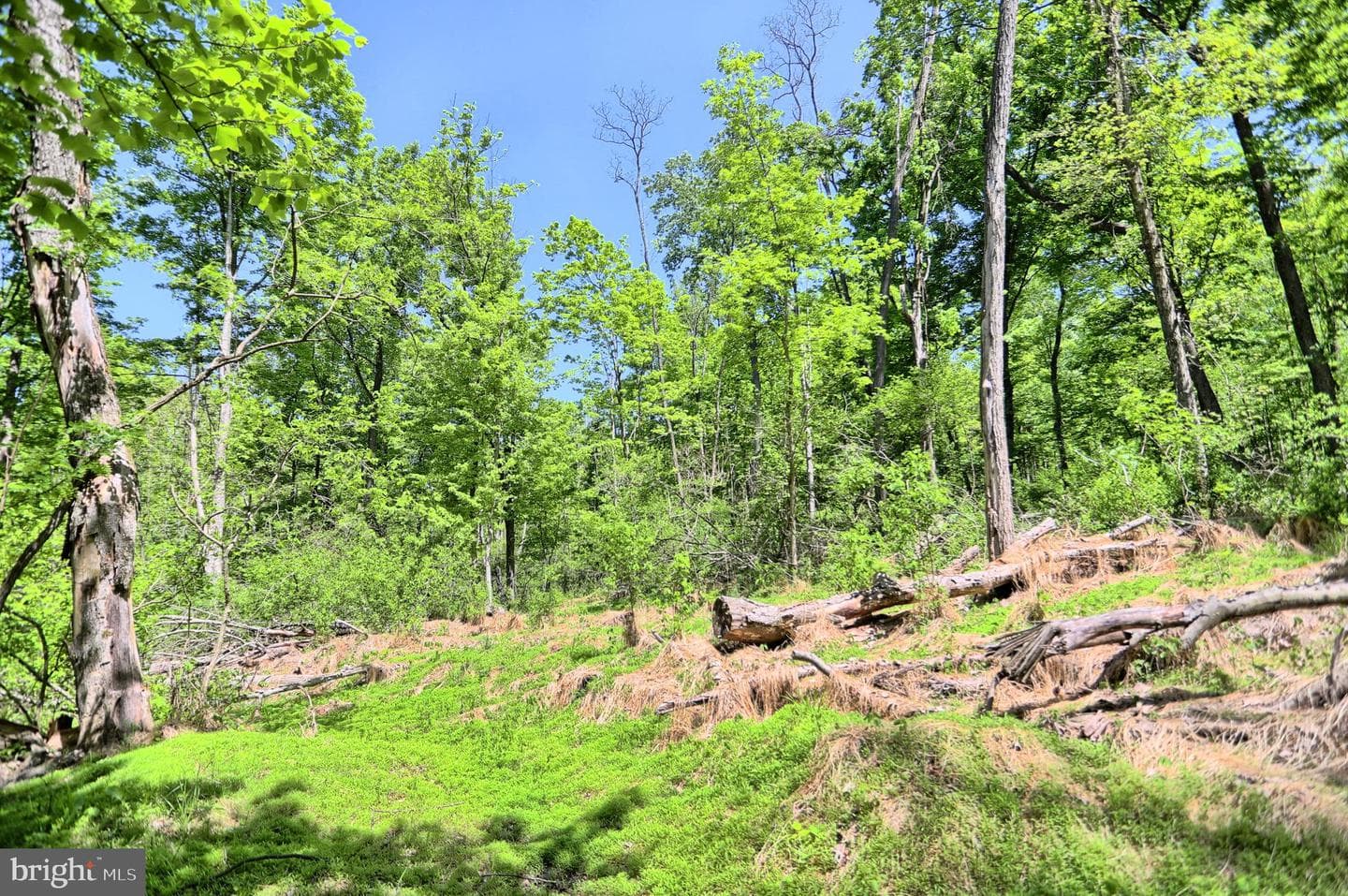4909 Raccoon Valley Rd photo 74
