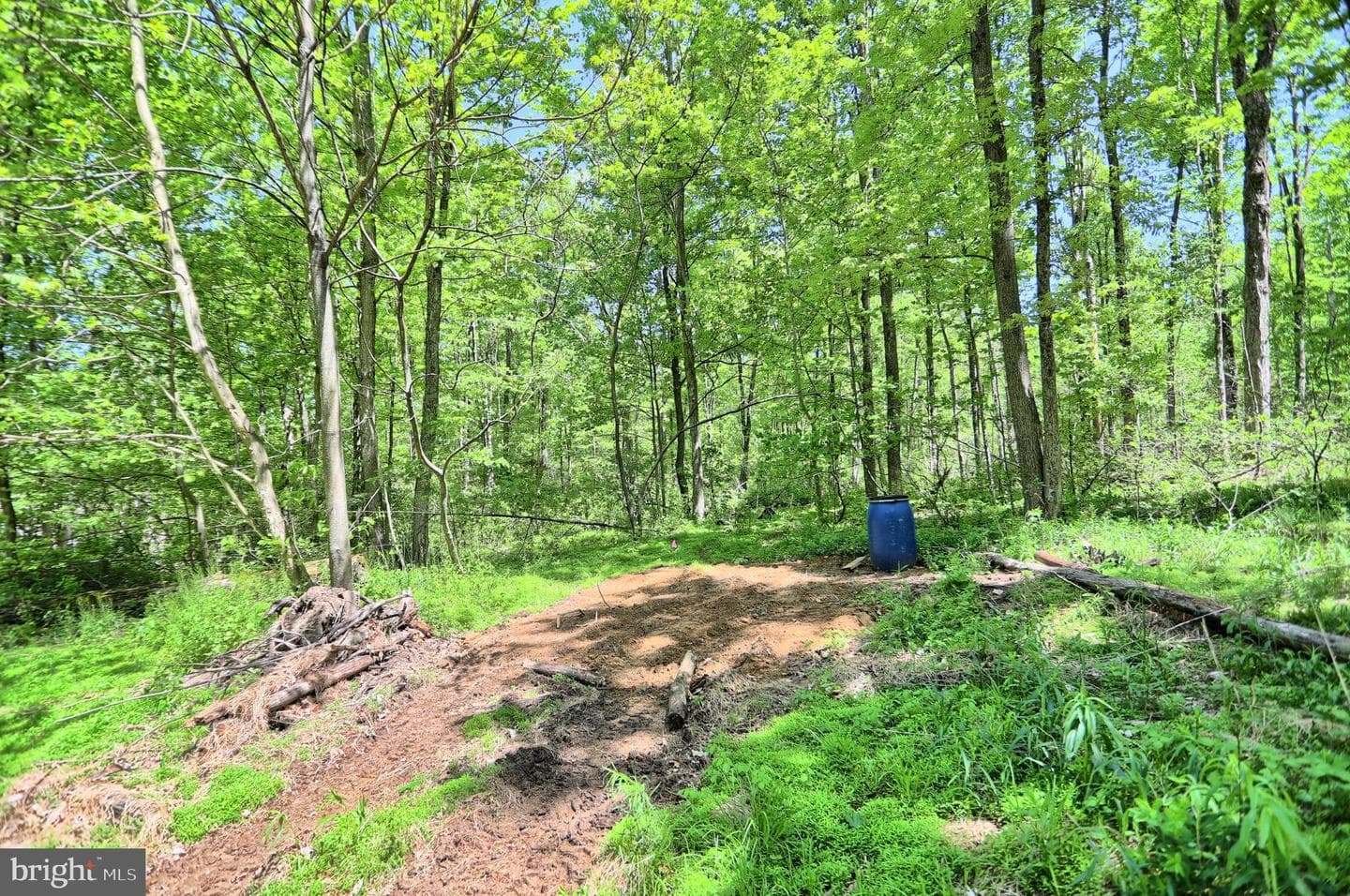 4909 Raccoon Valley Rd photo 76