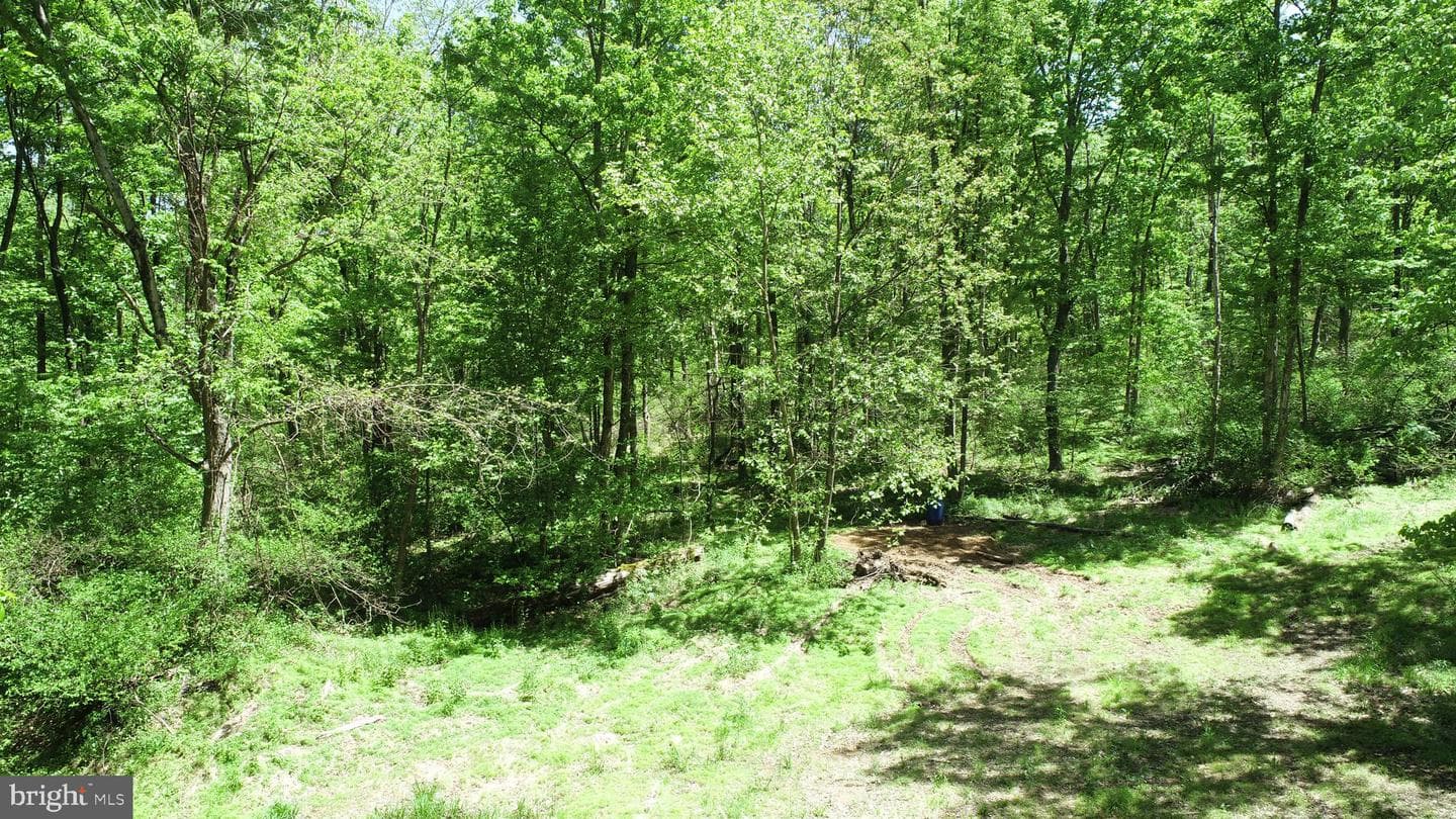 4909 Raccoon Valley Rd photo 78