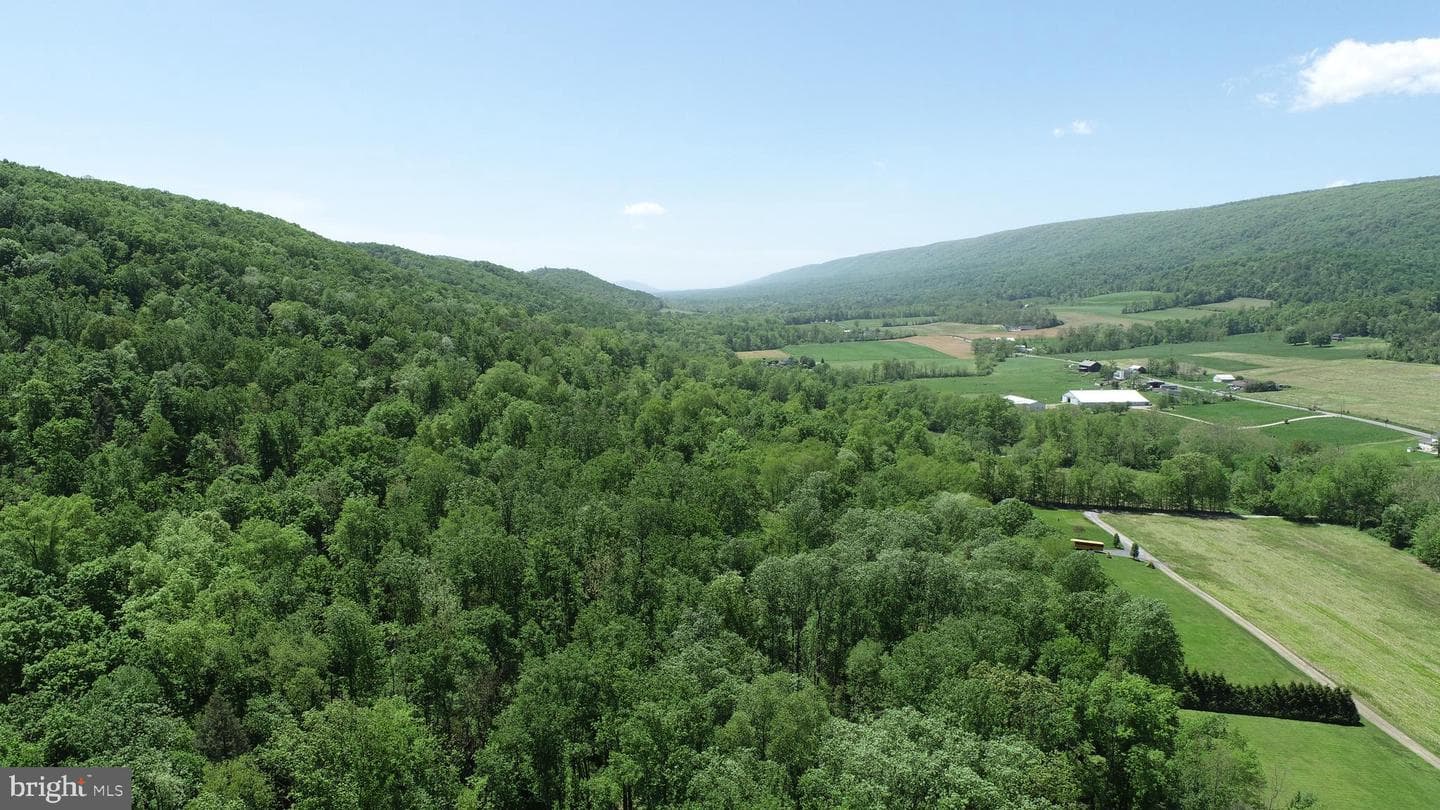 4909 Raccoon Valley Rd photo 85