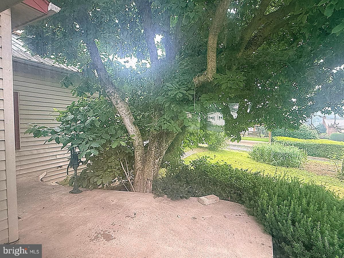 830 Freedom Street photo 28