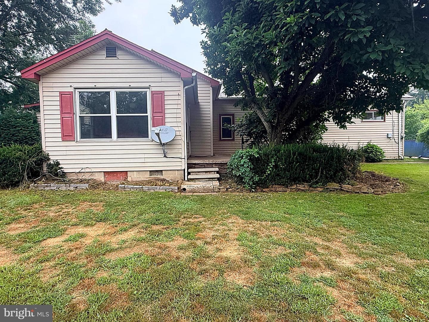 830 Freedom Street photo 7