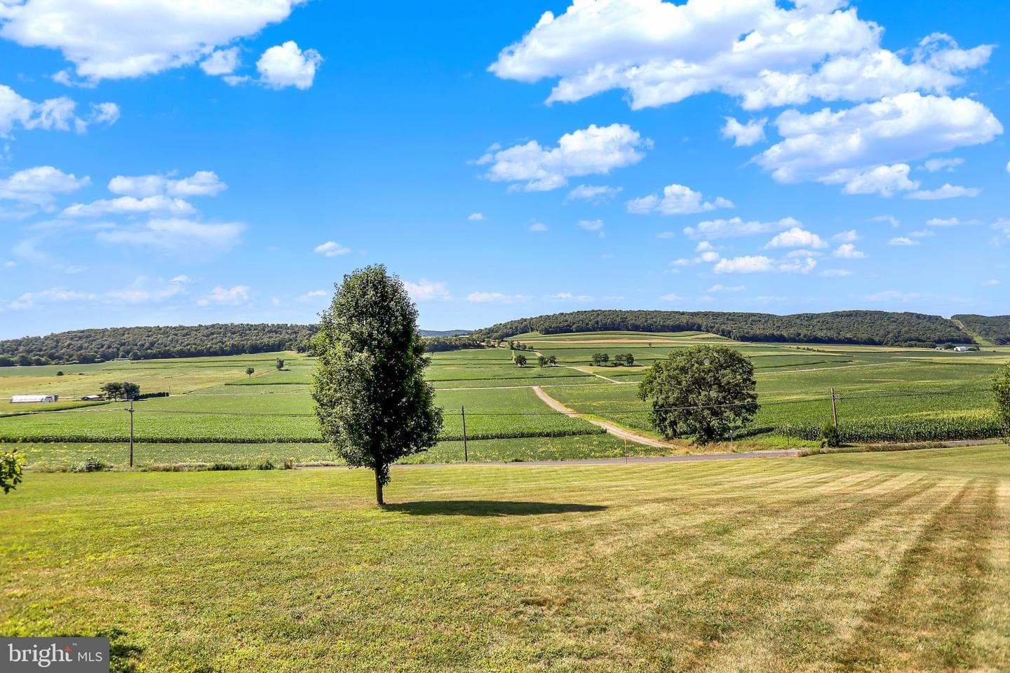 122 Bucher Hollow Road photo 6