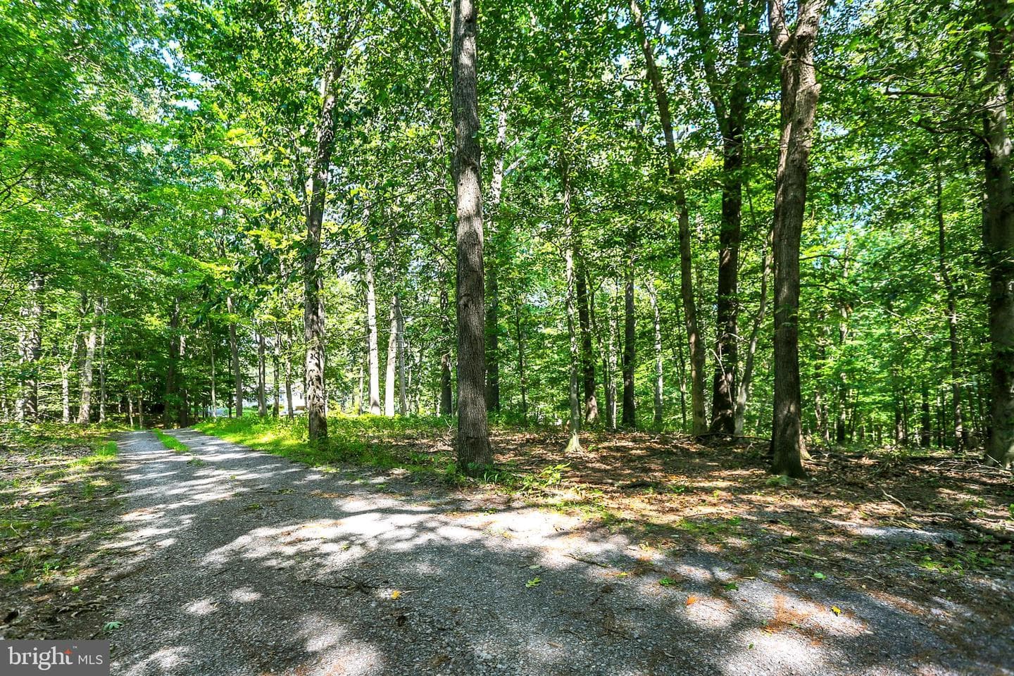 765 Germantown Road photo 9