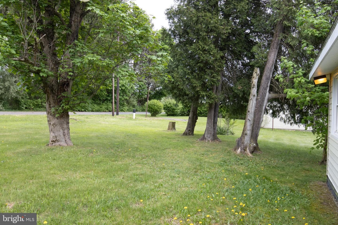 30 Hilltop Road photo 33