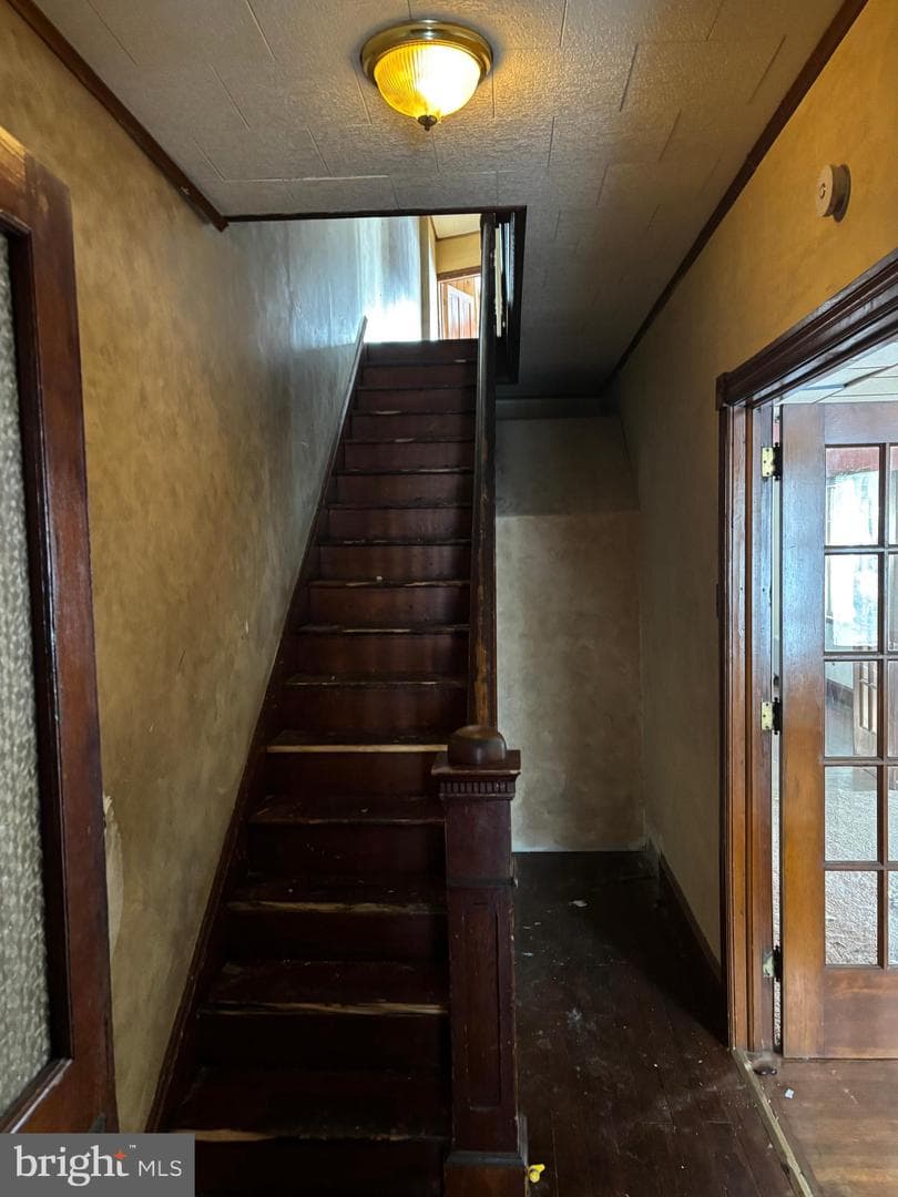 254 Mahanoy Street photo 14