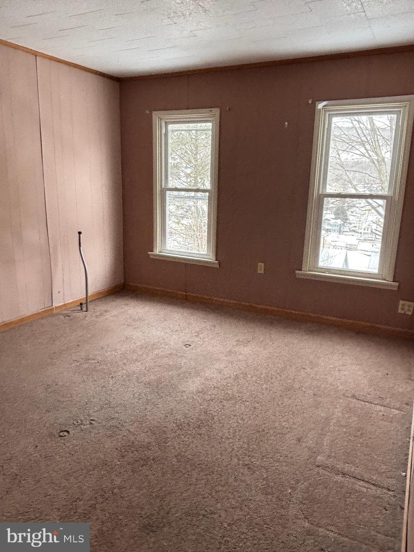 254 Mahanoy Street photo 25