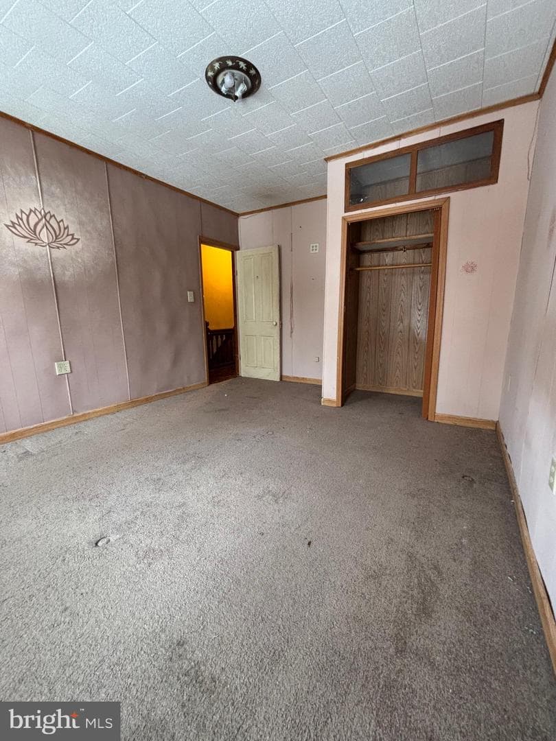 254 Mahanoy Street photo 26