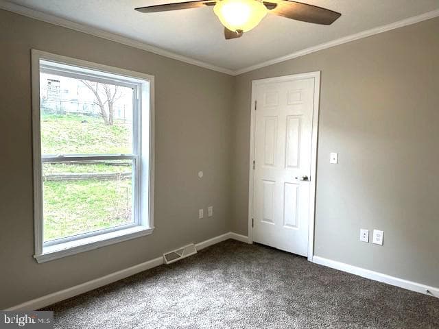 1015 W Race Street photo 17