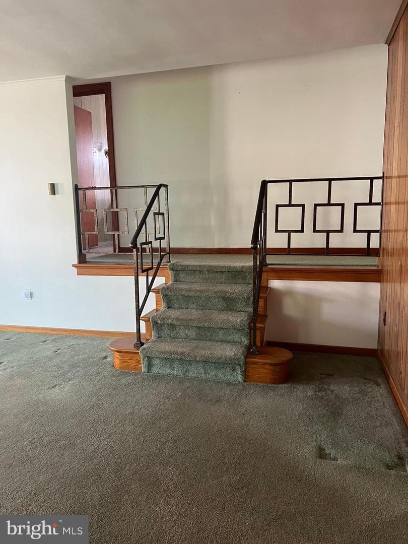 1228 Spruce Street photo 40