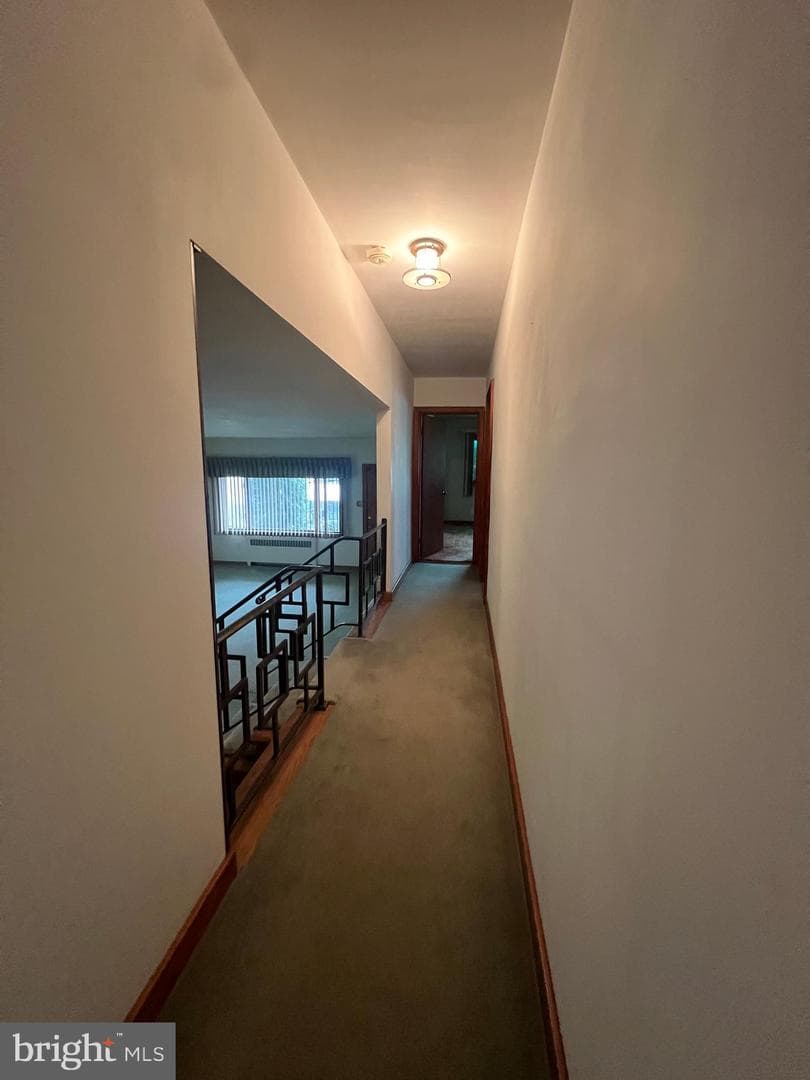1228 Spruce Street photo 49