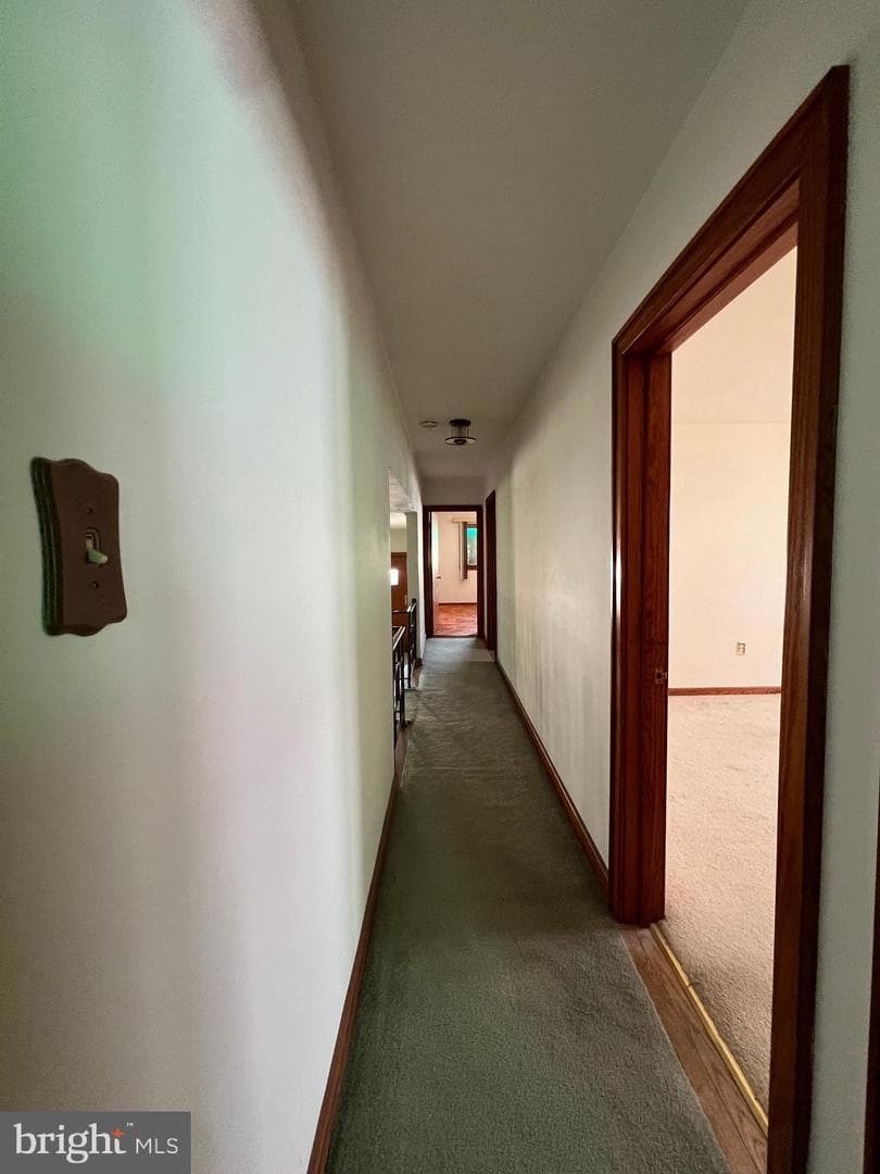 1228 Spruce Street photo 59