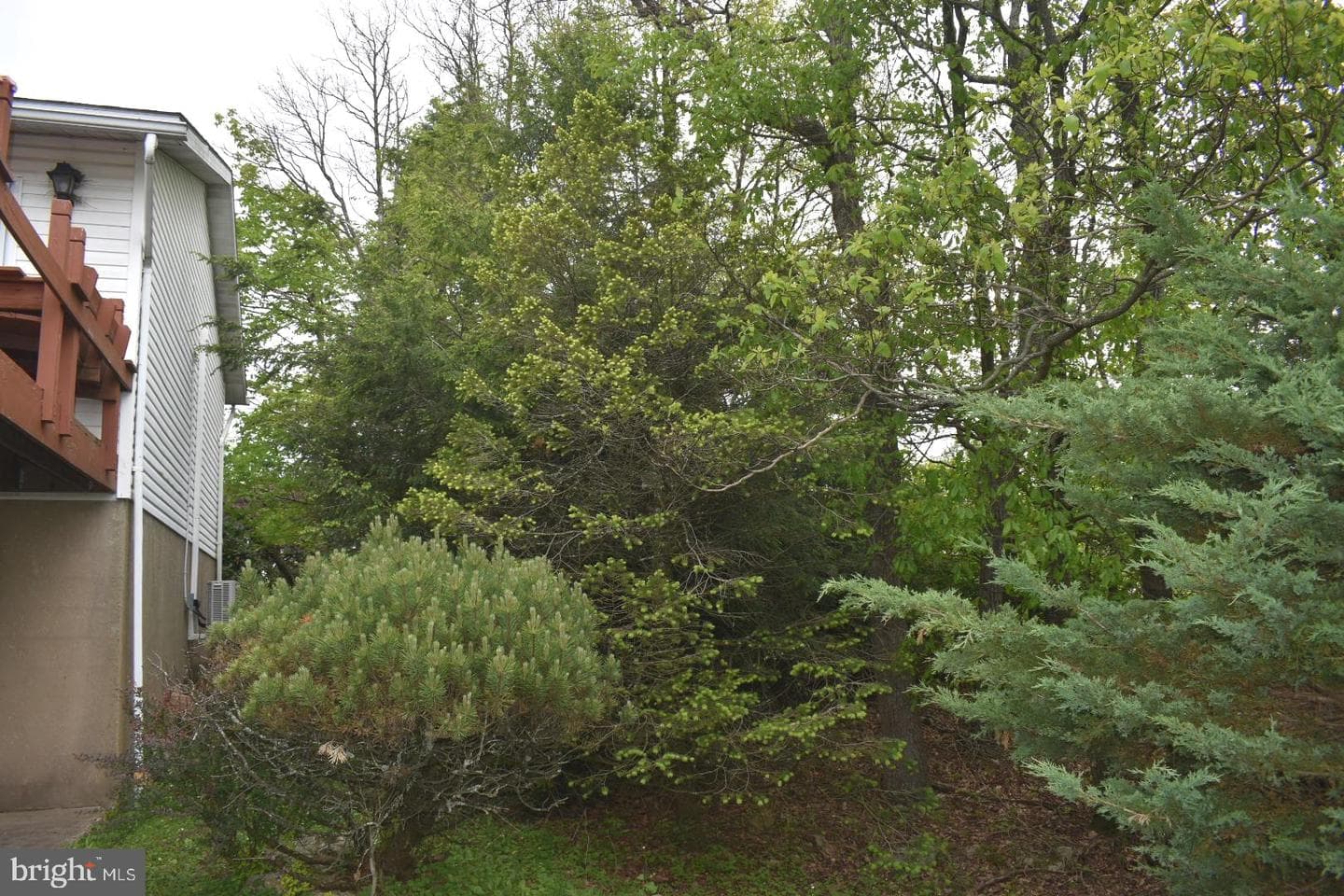324 California Avenue photo 19