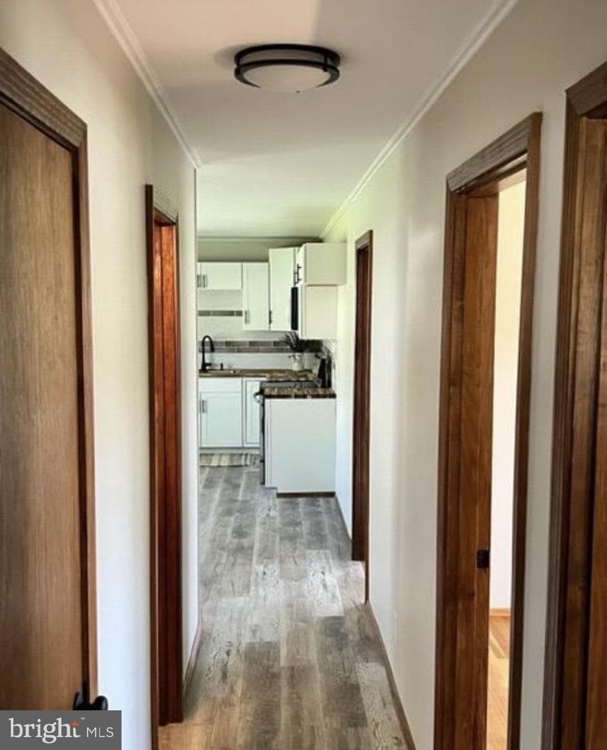 230 Eisenhower Drive photo 14