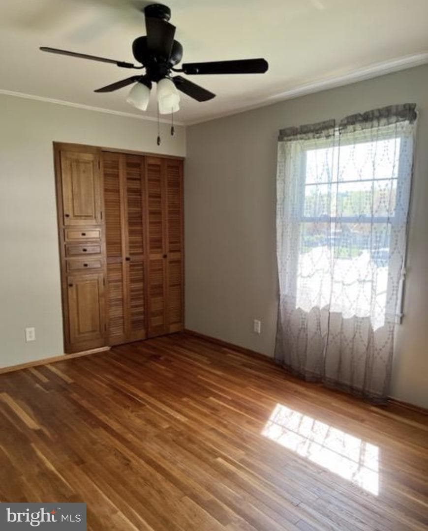 230 Eisenhower Drive photo 27