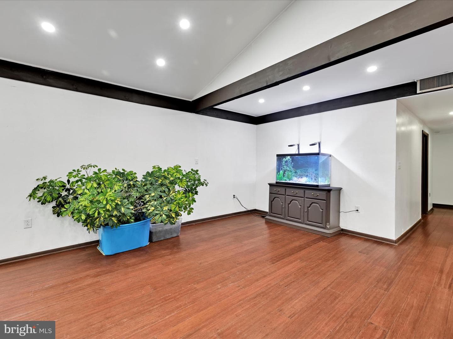 913 Wynonah Drive photo 5