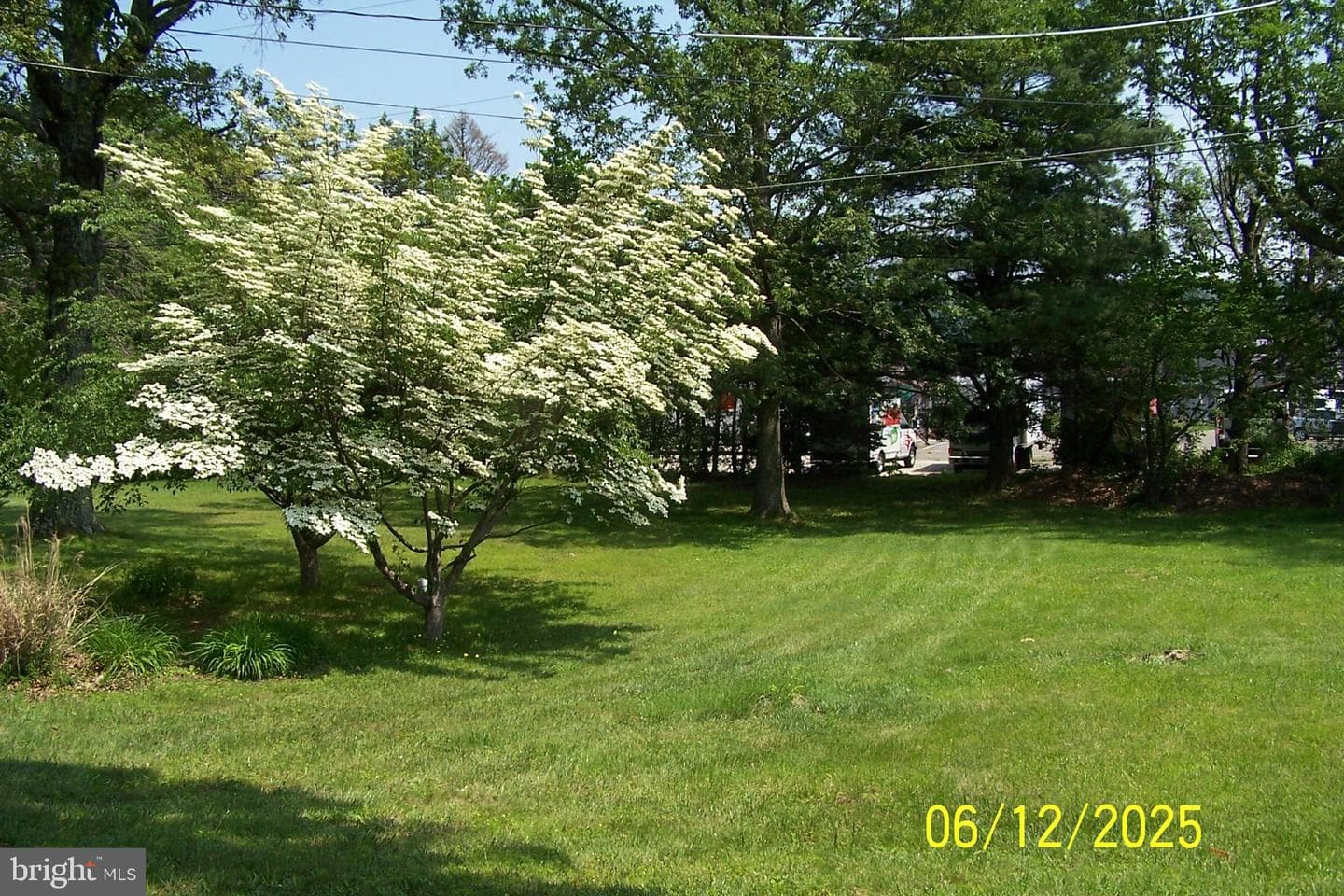 262 Claremont Avenue photo 6