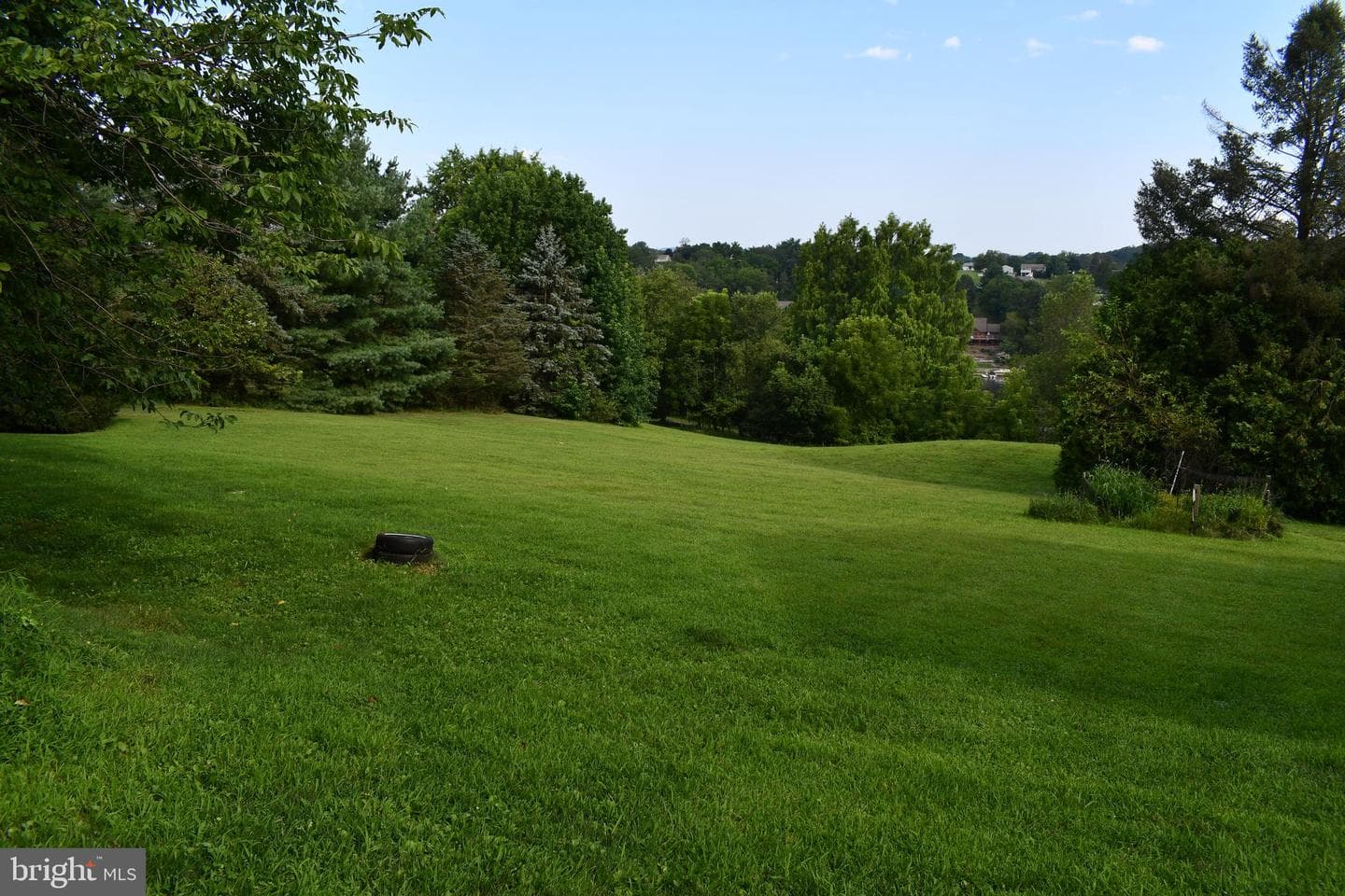 711 Stallion Drive photo 4