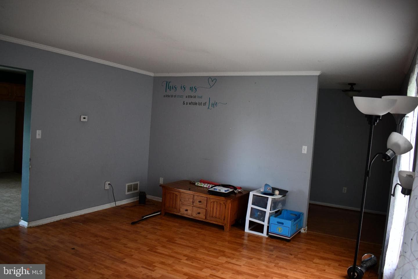 711 Stallion Drive photo 5