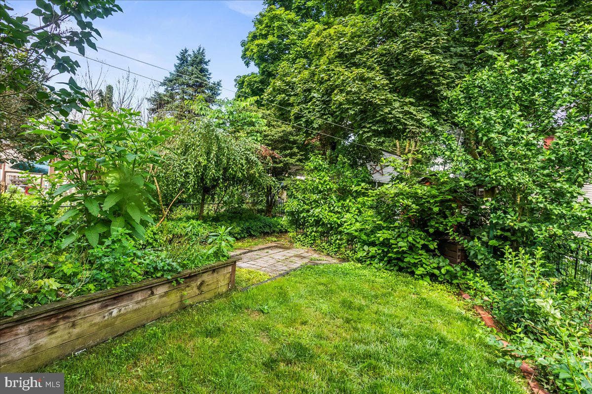 68 Carbon Street photo 25