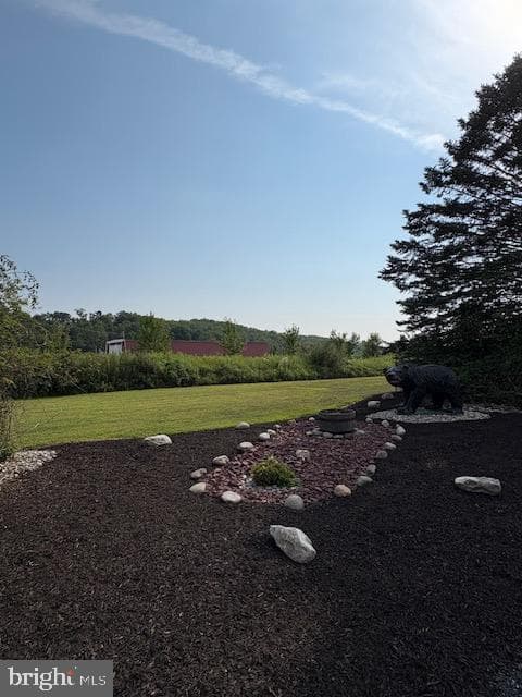 333 Zion Grove Road photo 22