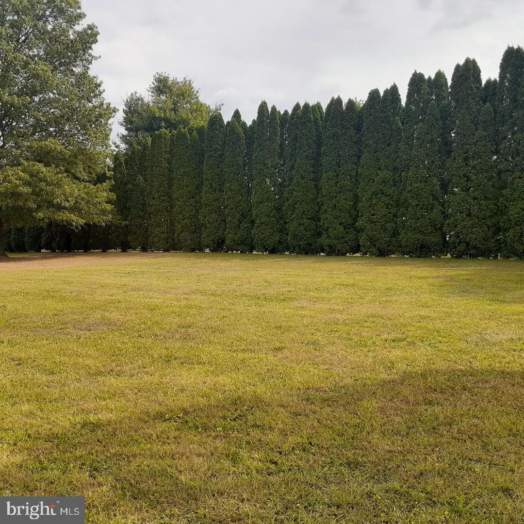 30 Meadow Brook Drive photo 9
