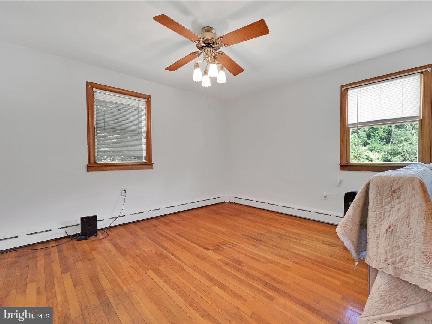 231 Market Street photo 13
