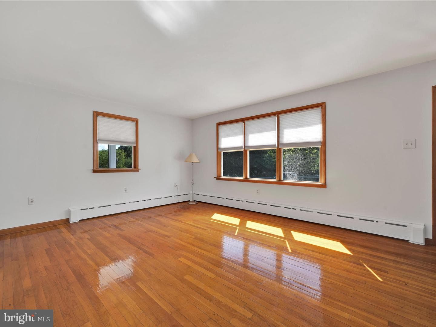 231 Market Street photo 6