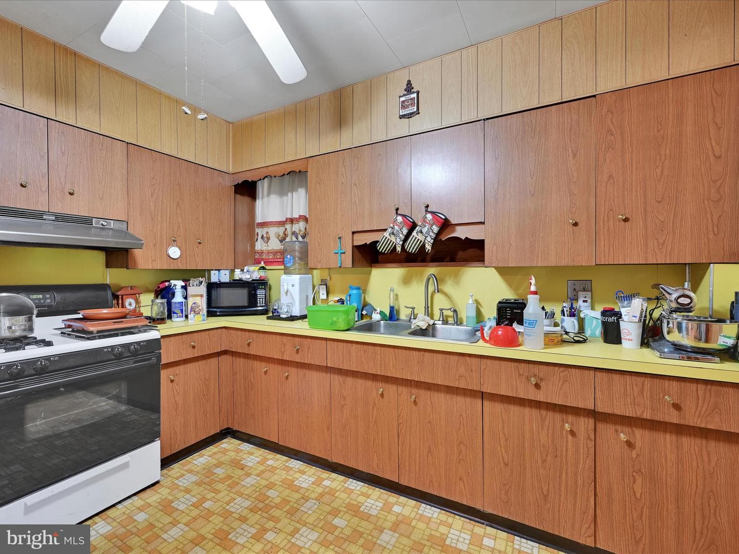 101 Molleystown photo 11