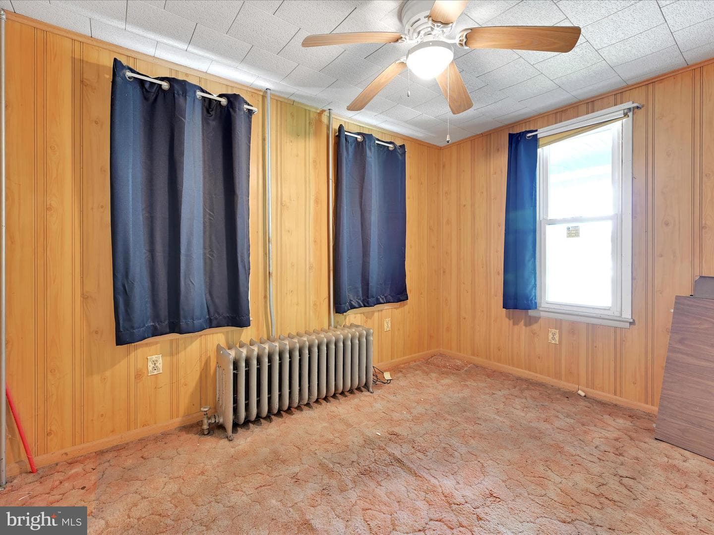 101 Molleystown photo 12