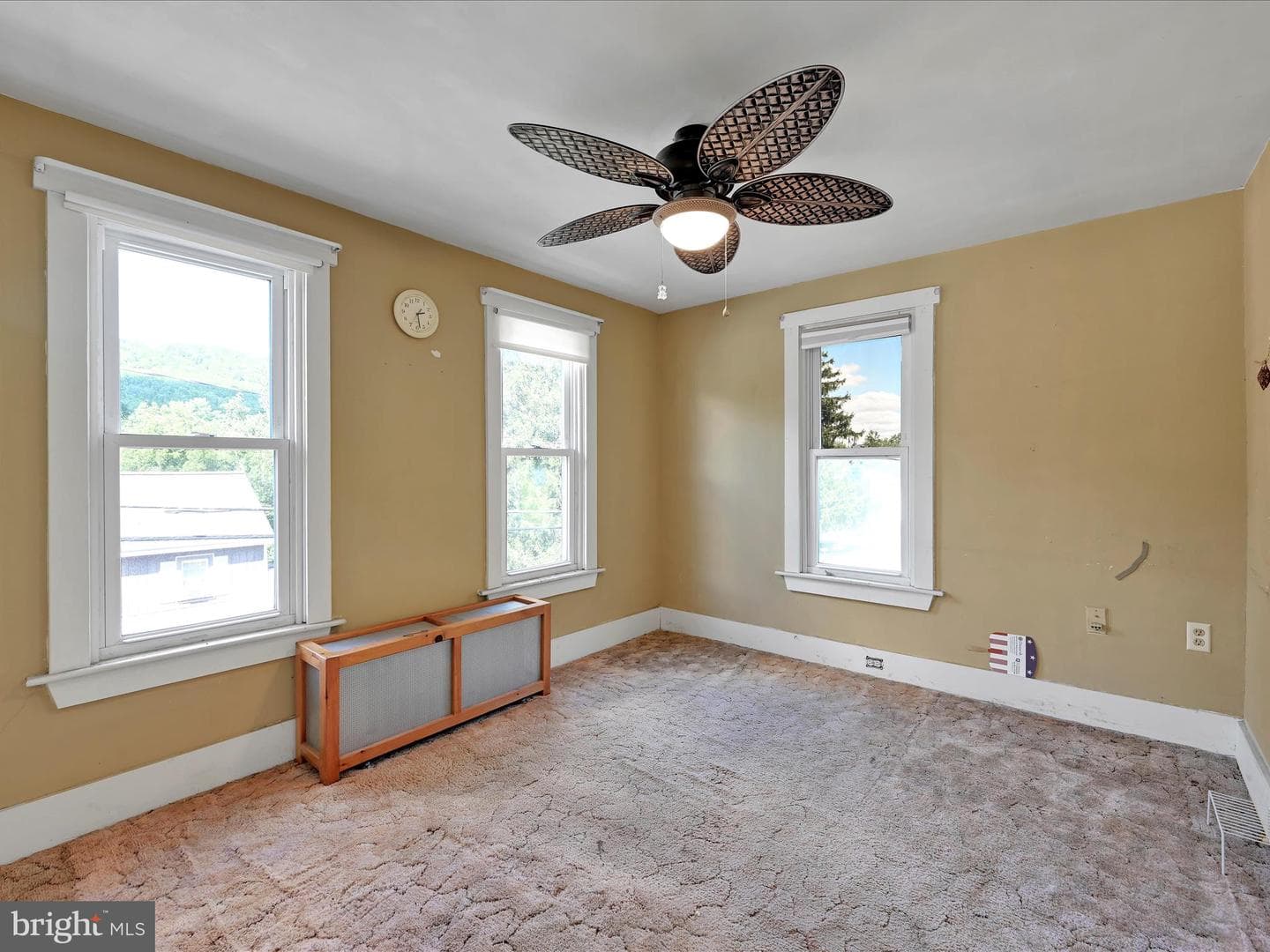 101 Molleystown photo 15
