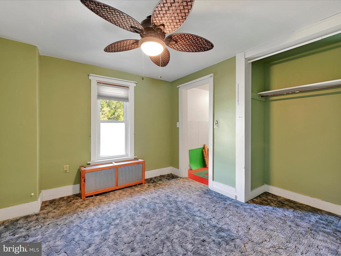 101 Molleystown photo 16