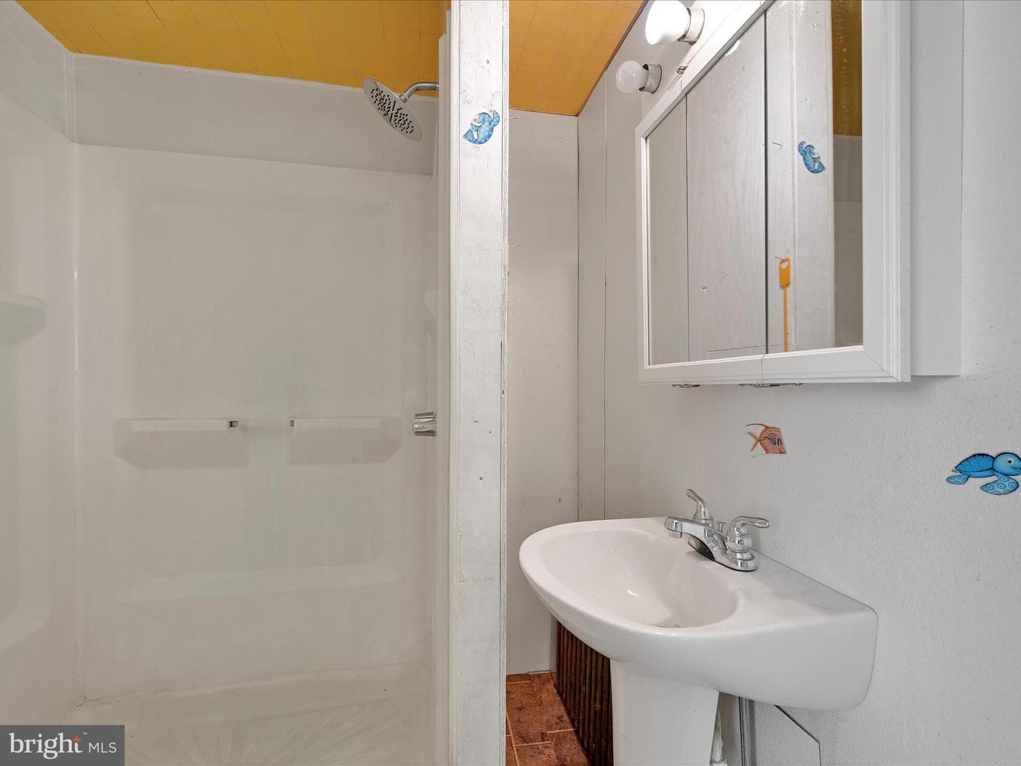101 Molleystown photo 17