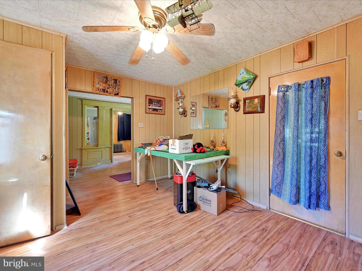 101 Molleystown photo 8