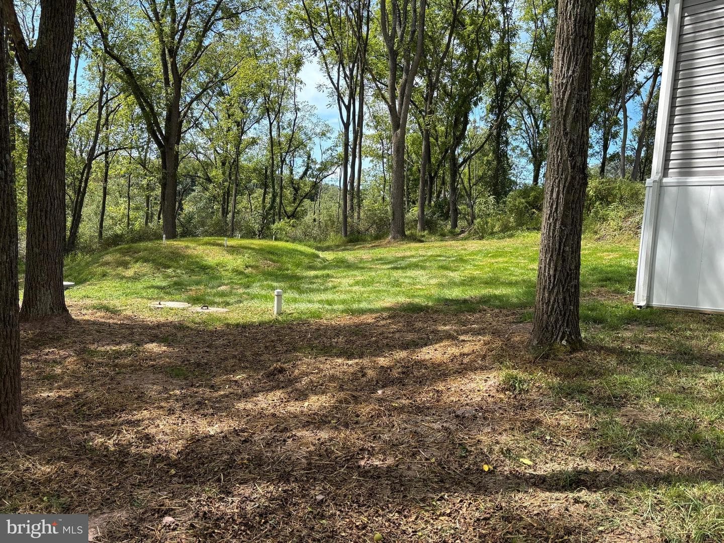 154 Country Club Road photo 12