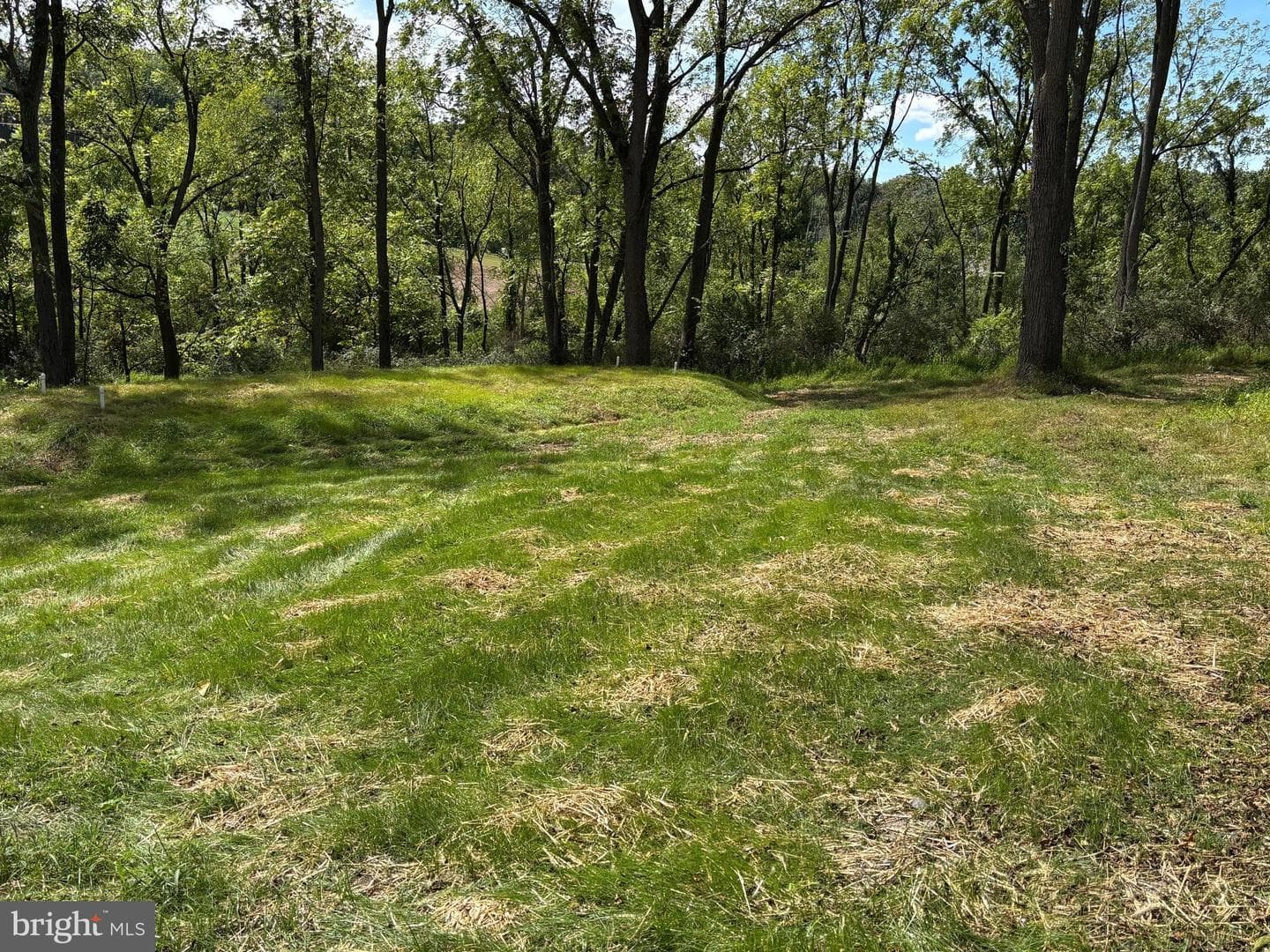 154 Country Club Road photo 18